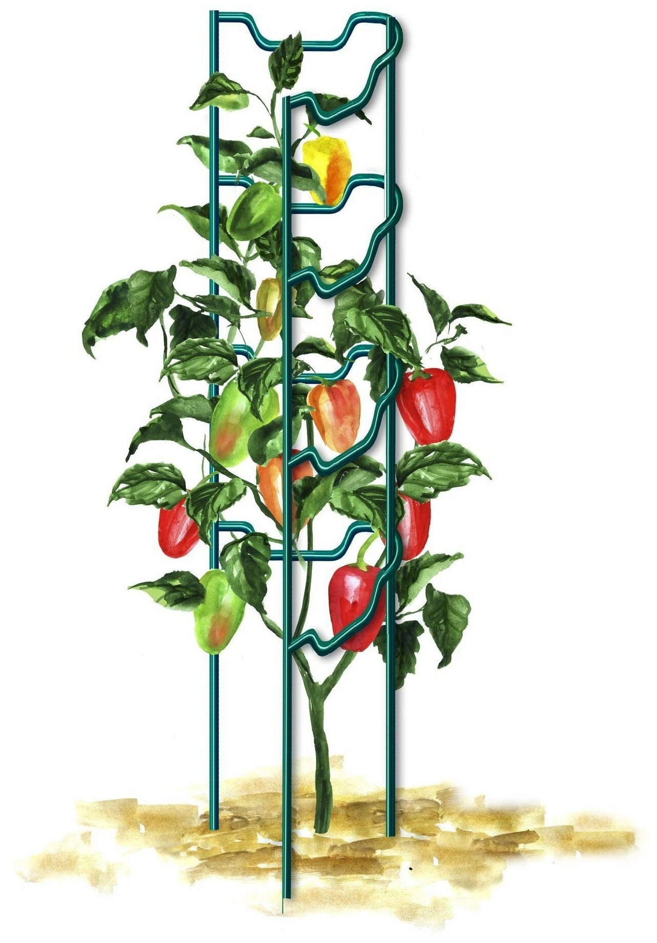 фото Поддержка под перцы 60 см бирюзовая