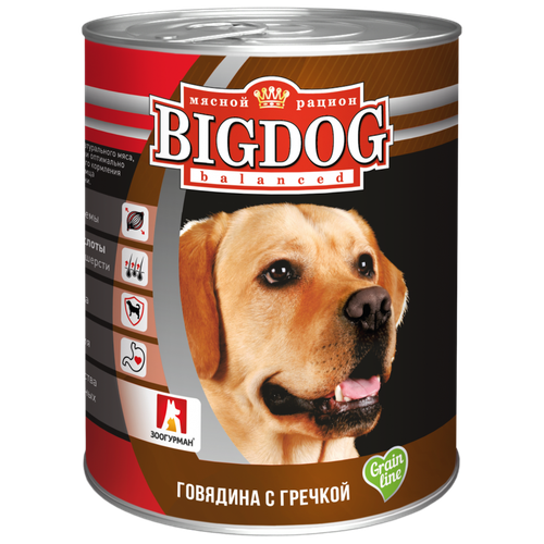 Зоогурман BIG DOG кон. д/собак Говядина с гречкой 850г