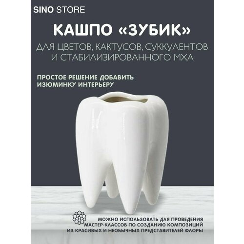 Кашпо Зуб мудрости горшок ваза для цветов суккулетов 653₽