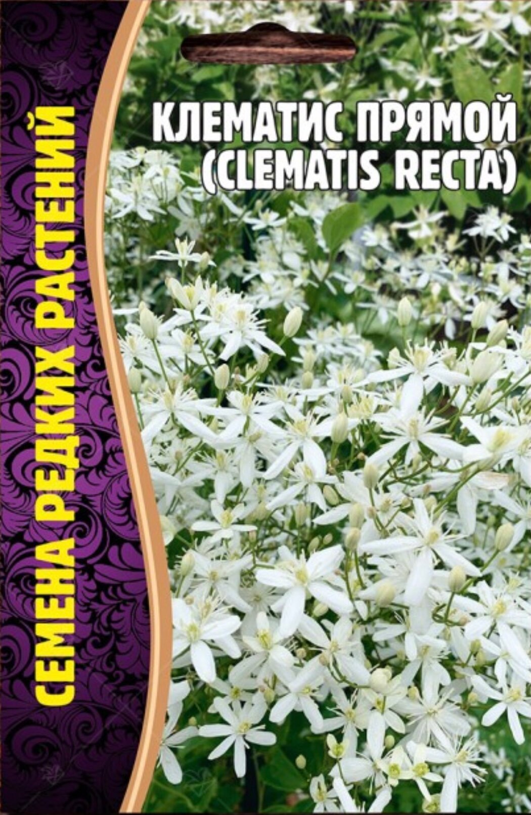 Семена Клематиса Прямого (Clematis Recta) (5 семян)