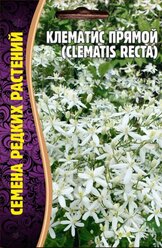 Семена Клематиса Прямого (Clematis Recta) (5 семян)