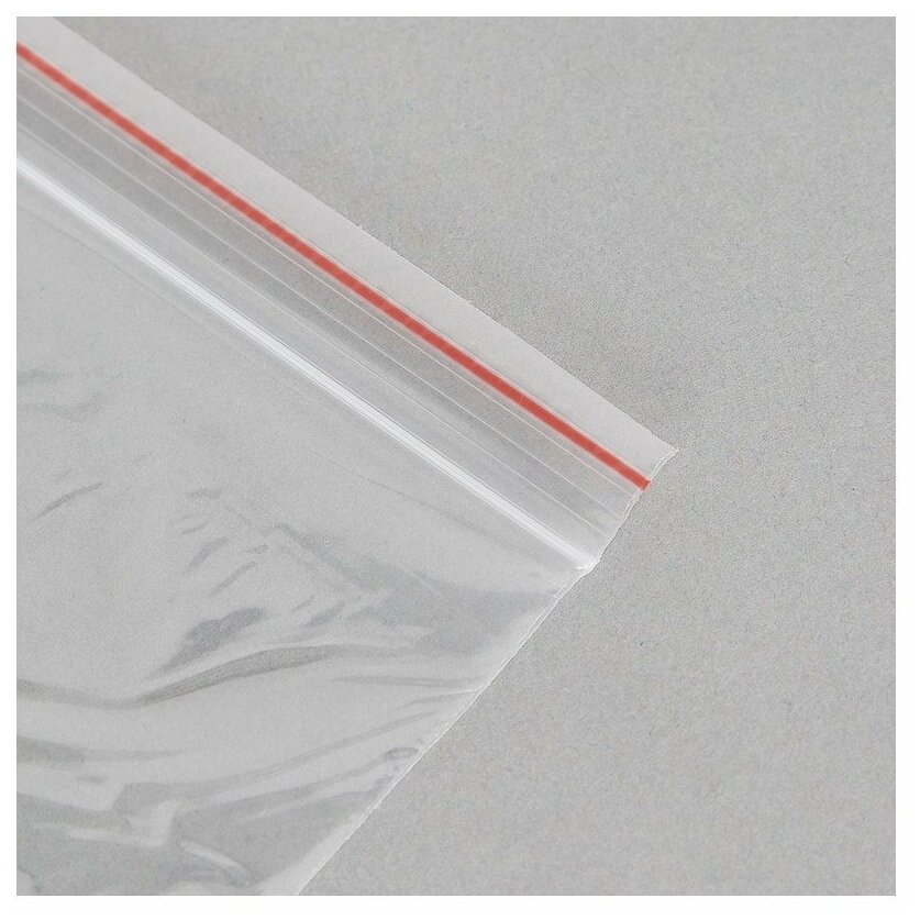 Пакет с замком (Zip Lock) 20 х 25 см, 35 мкм, 100 шт - фотография № 6