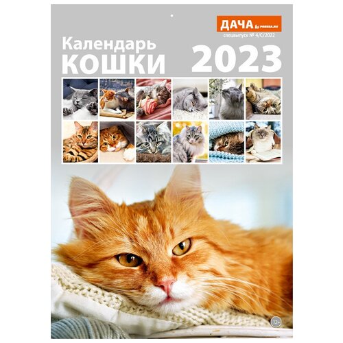Календарь настенный перекидной на 2023 год (21 см* 29 см). Кошки.