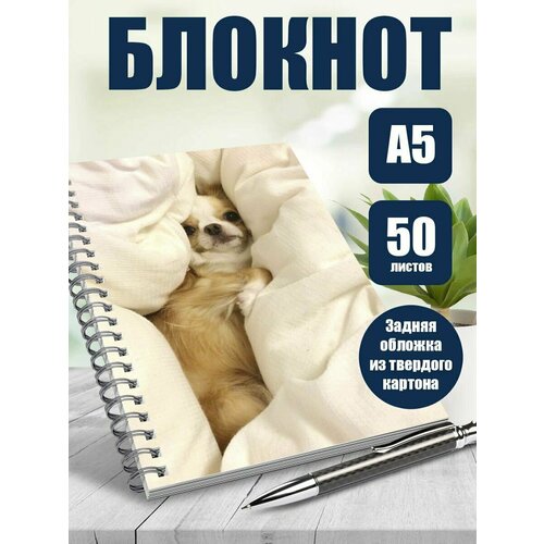 Тетрадь в клетку собаки