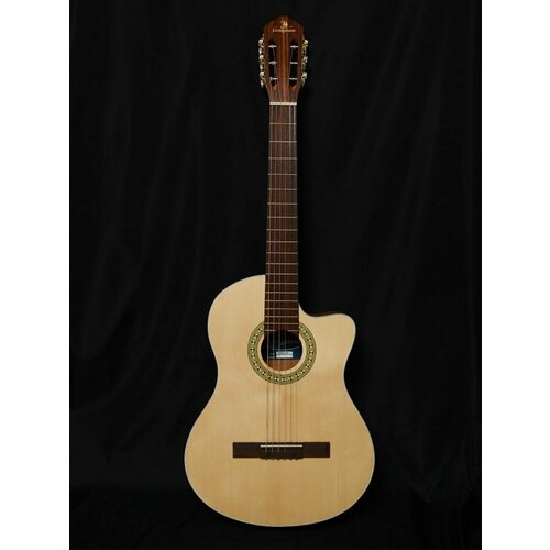 Гитара Livingstone Folkblues NA 39