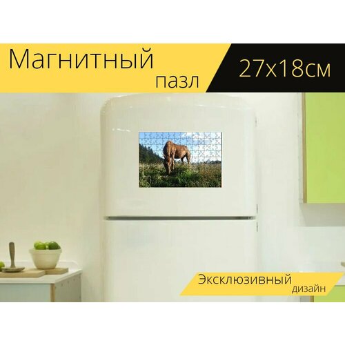 Магнитный пазл Лошадь, лошади, природа на холодильник 27 x 18 см. магнитный пазл лошади природа прыгать на холодильник 27 x 18 см