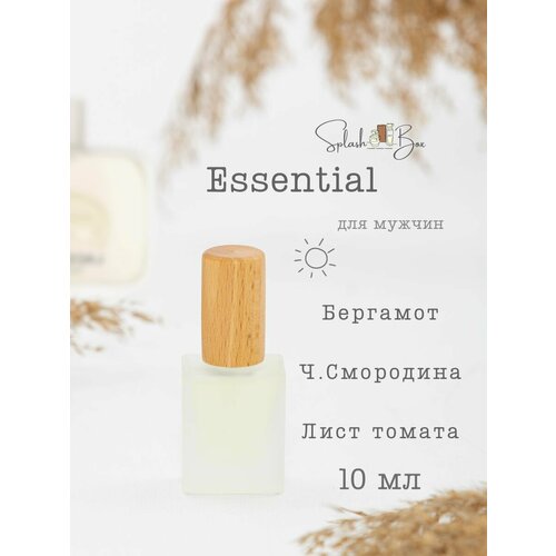 Essential духи стойкие