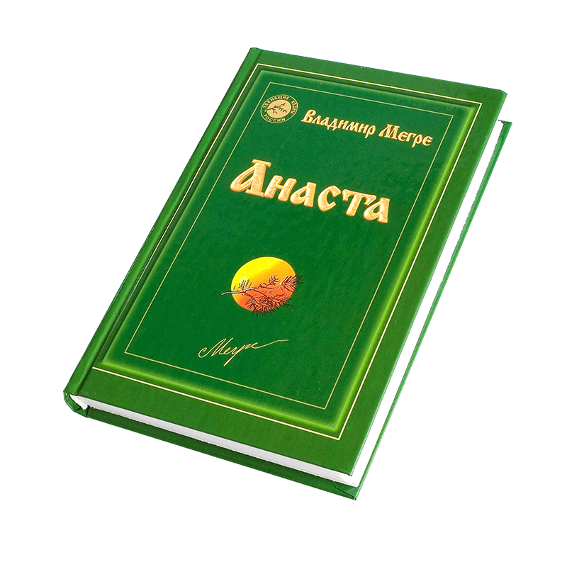 Анаста. Книга десятая (Мегре Владимир Николаевич) - фото №4