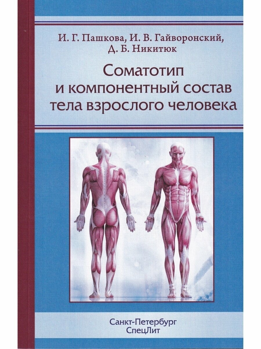 Соматотип и компонентный состав тела взрослого человека - фото №3