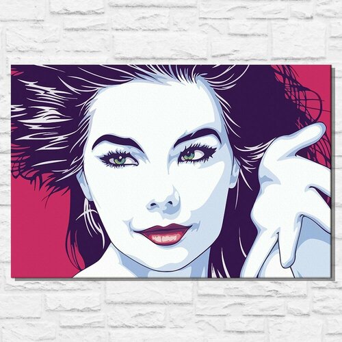 Картина по номерам на холсте музыка Бьорк (Bjork, электронная музыка) - 13744 Г 60x40