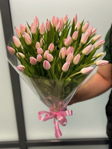 Изображение товара Монобукет Wowflo, тюльпаны розовые, 51 цветок, высота букета 35 см