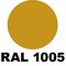 RAL 1005