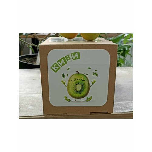 Набор для выращивания 