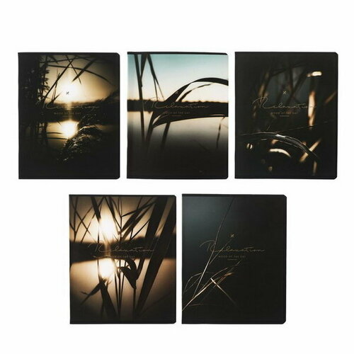 Тетрадь 48 листов в клетку 