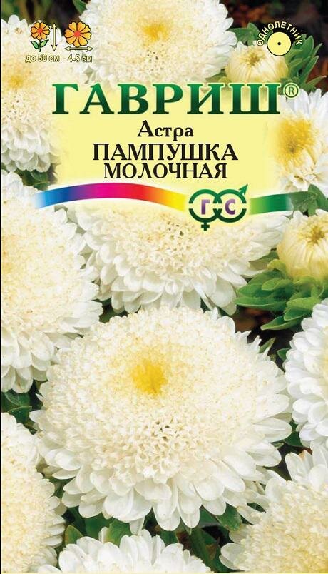 Семена Астра Пампушка Молочная помпонная 03г Одн 50см (Гавриш)
