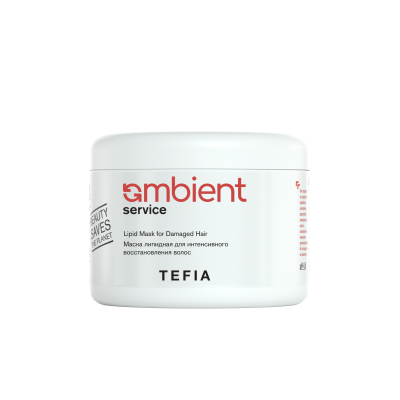 Маска липидная для интенсивного восстановления волос TEFIA AMBIENT Service, 500 мл