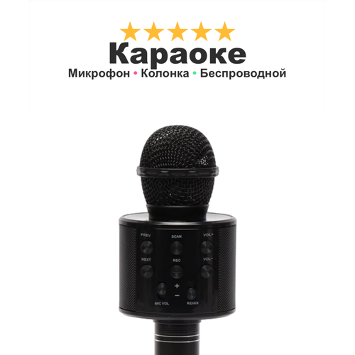 Беспроводной микрофон караоке с селфи-модом FUNNY TIME с корректором голоса и поддержкой микро-карт черный 1299₽