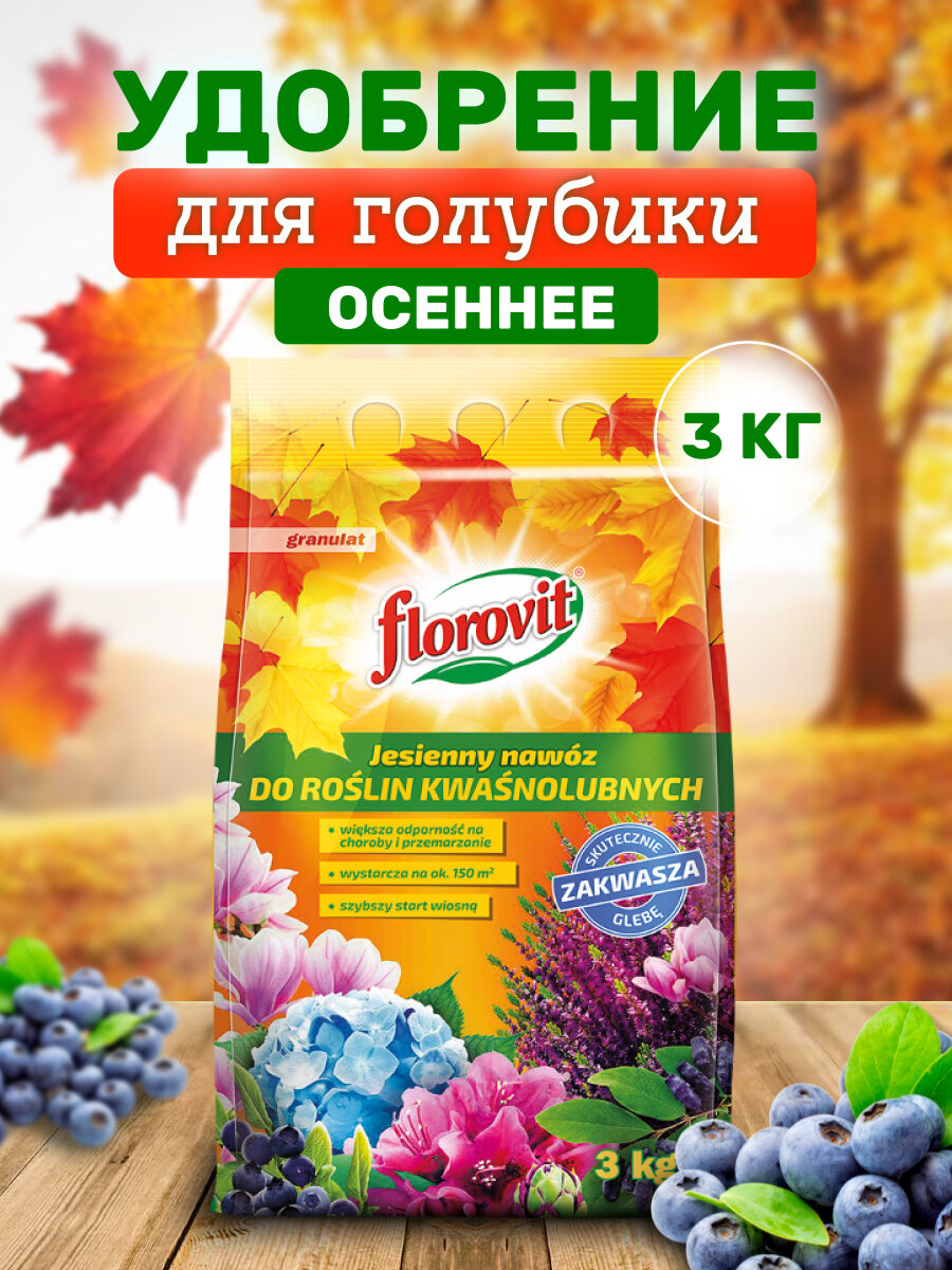 Florovit Осеннее удобрение для голубики 3 кг