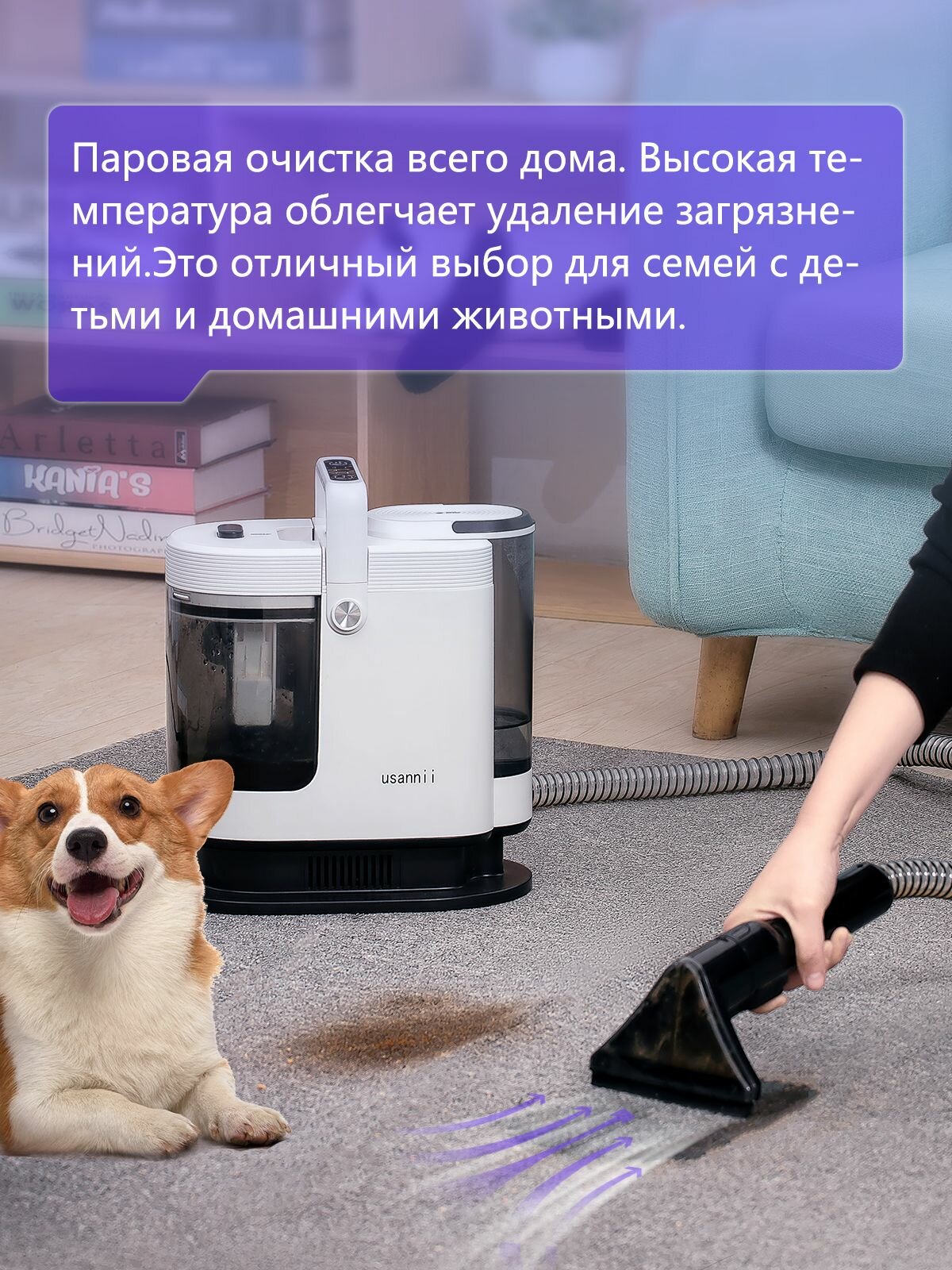 Моющий пылесос для мебели и дома USANNII DY-508AC, химчистка с функцией пара, с насадками — фото 1
