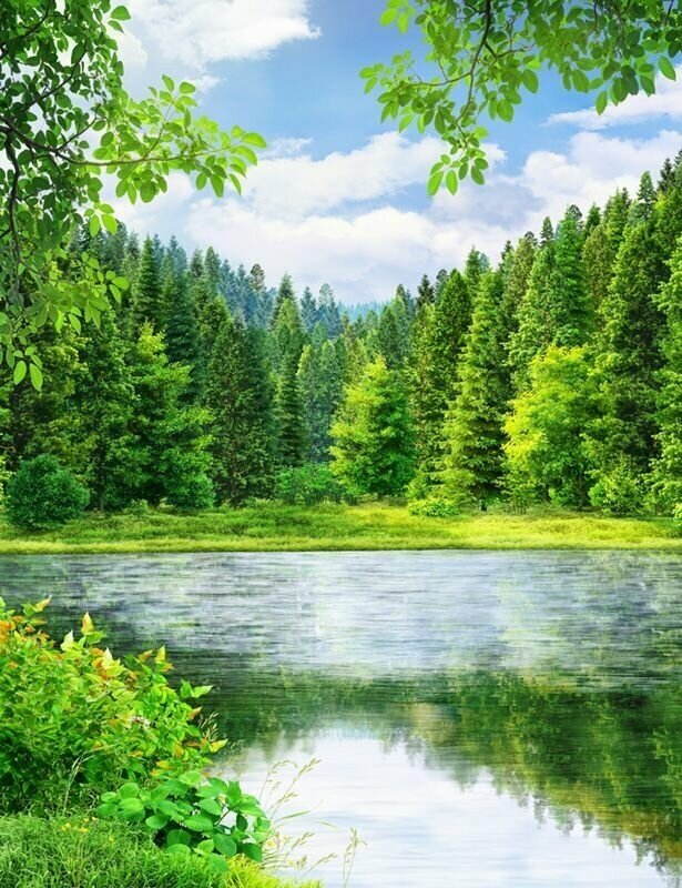 Моющиеся виниловые фотообои Таежный лес и озеро, 200х260 см