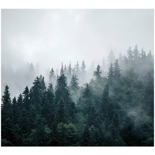 Фотообои флизелин эко Туманный пейзаж 300х270 6723₽