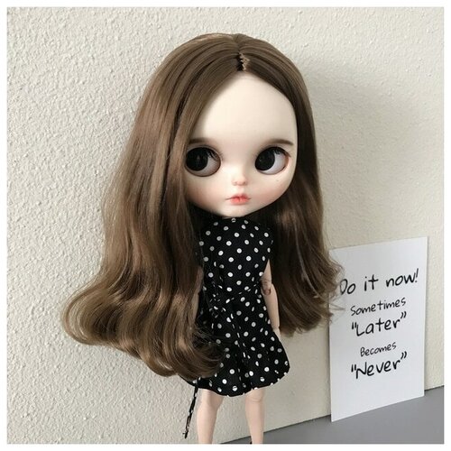 фото Комплект одежды для куклы blythe/ одежда для куклы блайз (на рост 30см) npk doll