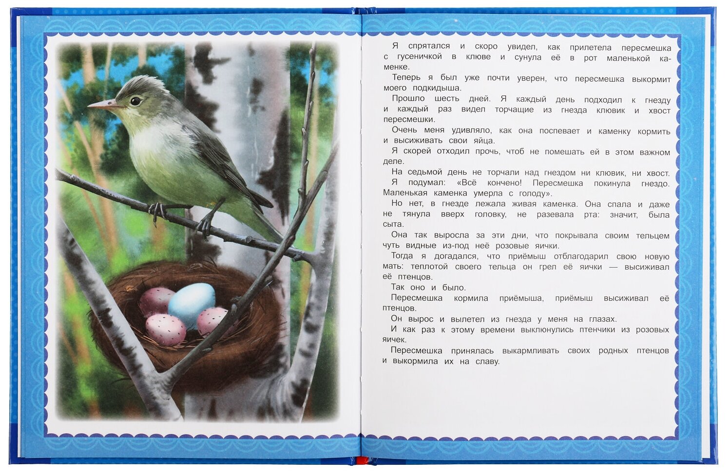 Лесные сказки. Виталий Бианки. Любимые книжки. 197х255 мм., 32 стр., тв. переплет Умка в кор.15шт - фото №3