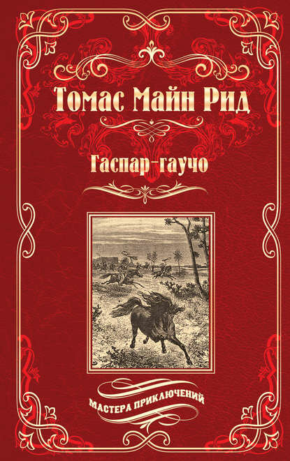 Гаспар-гаучо. Затерявшаяся гора [Цифровая книга]