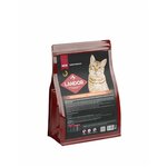 Сухой корм для кошек для шерсти и здоровья кожи c индейкой и лососем 400г - изображение