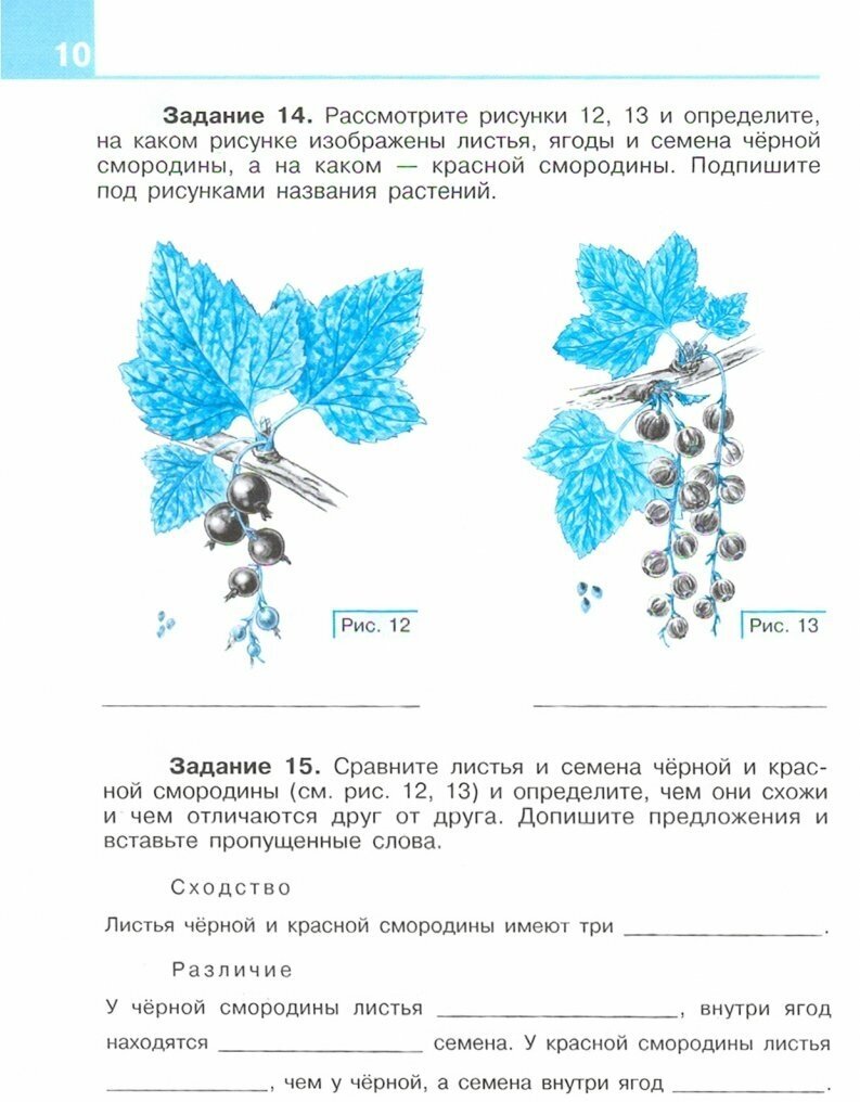 Шахматы в школе. 5-й год обучения. Методические рекомендации - фото №3