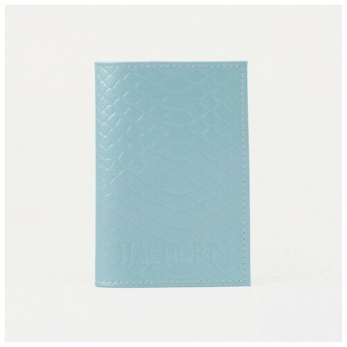Обложка для паспорта (Т)11 к-134 9,5*0,3*13,7, питон, голубой 5069317 Textura. Цвет: голубой