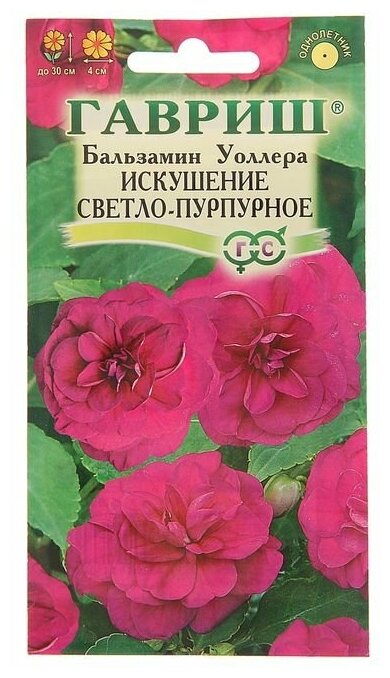 Семена цветов Бальзамин Уоллера "Искушение светло-пурпурное" F1, О, 5 шт.