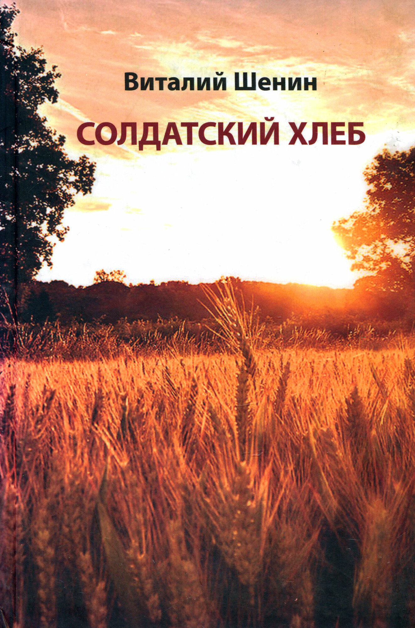 Солдатский хлеб (Шенин Виталий Семенович) - фото №3