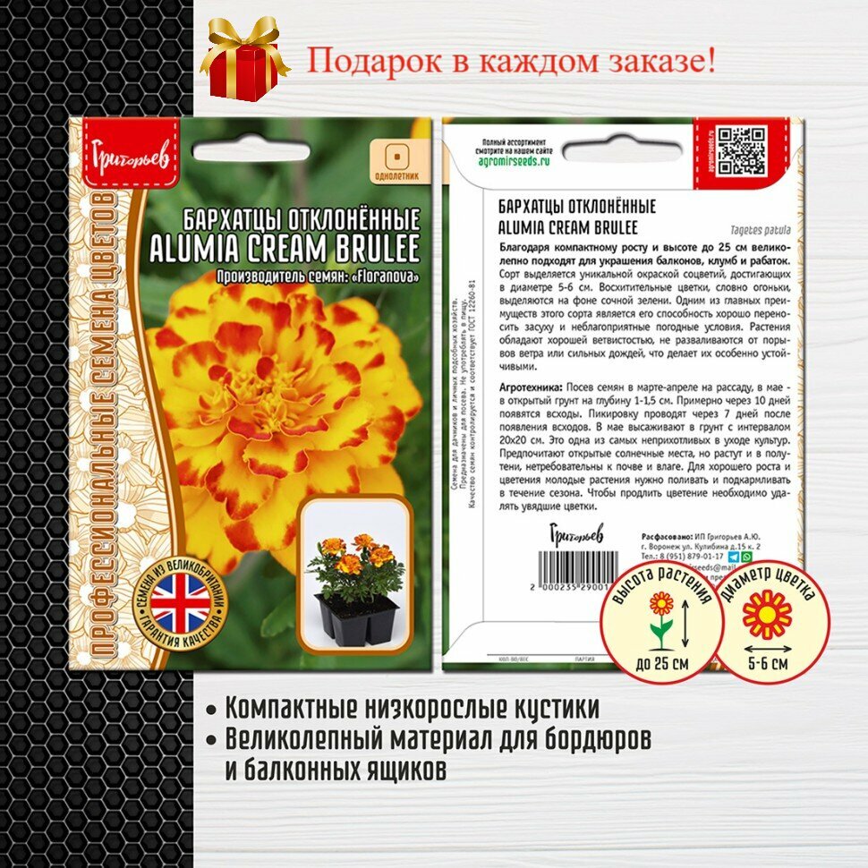 Бархатцы отклонённые Alumia Cream Brulee (2 упаковки)