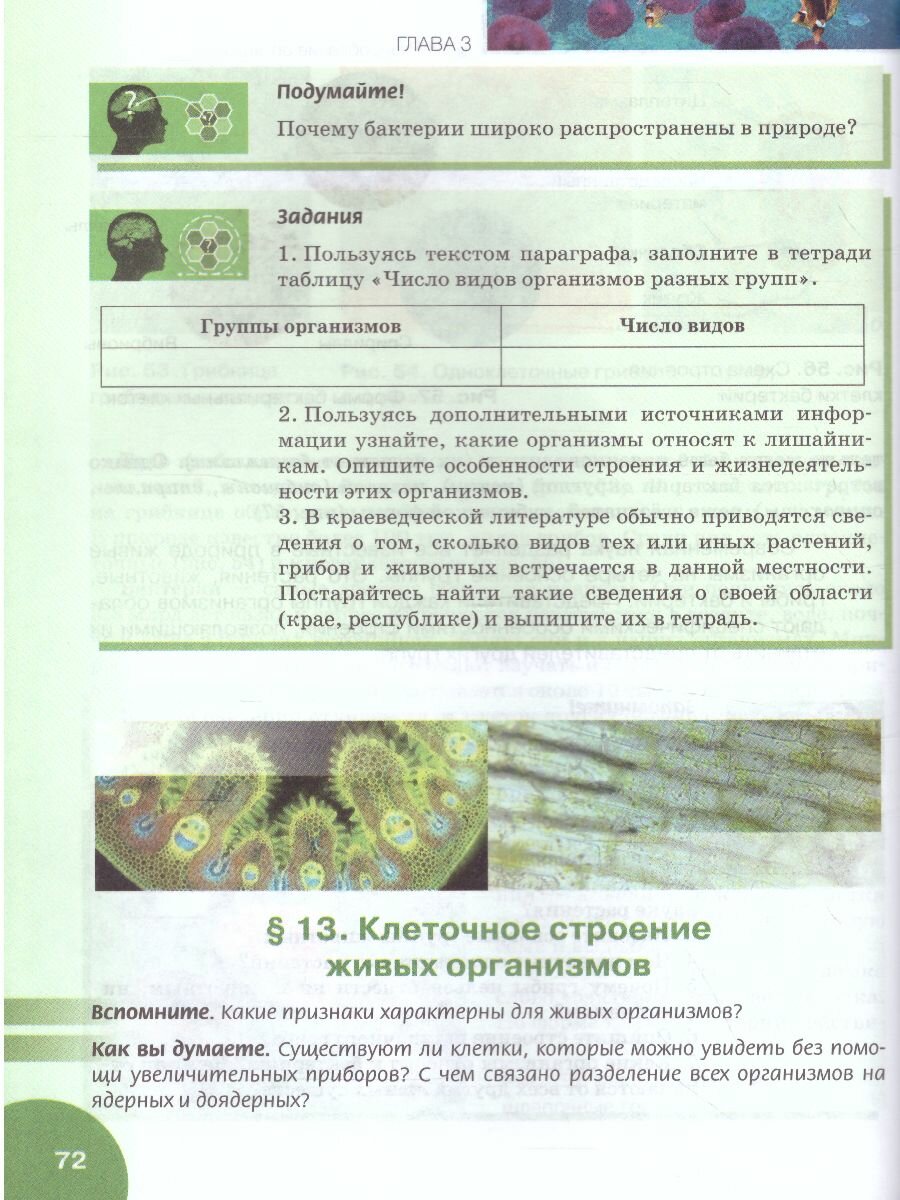 Биология. 5 класс. Учебник (Баландин Сергей Александрович, Романова Надежда Ивановна, Ульянова Татьяна Юрьевна) - фото №6