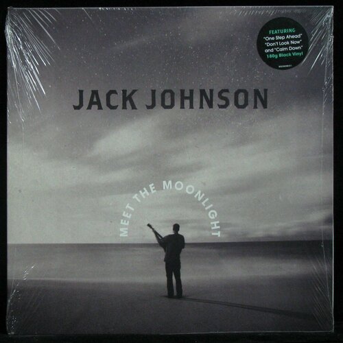 Виниловая пластинка Brushfire Jack Johnson – Meet The Moonlight