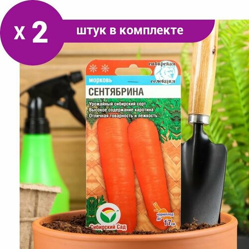 Семена Морковь 'Сентябрина', 2 г (2 шт) семена морковь сентябрина 2 упаковки 2 подарка