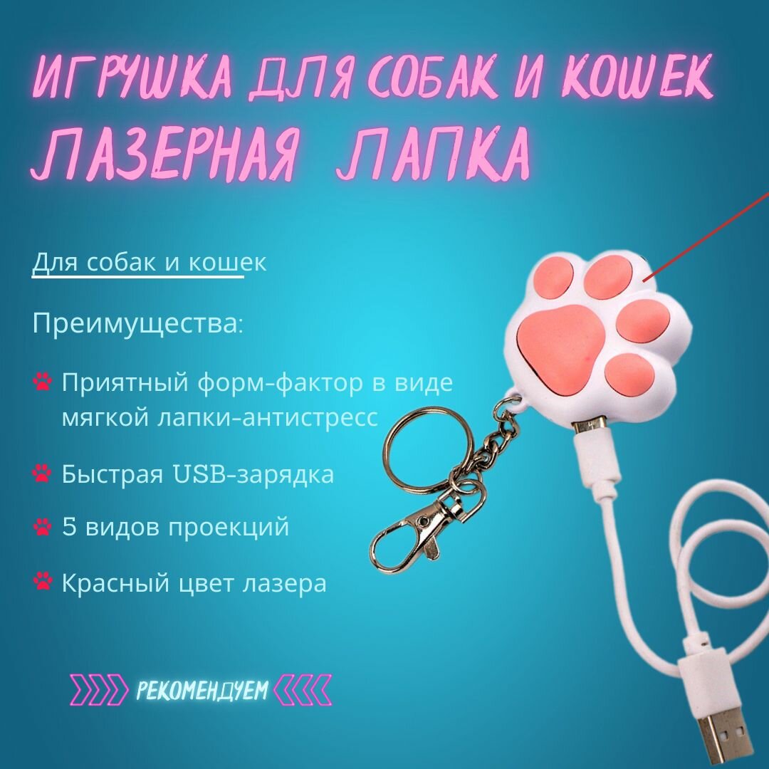 Лазерная указка для кошек и собак 5 в 1, с USB зарядкой, с карабином и фонариком, лапка. Зоотовары для игр и проведения презентаций. Красный лазер, фонарик и ультрафиолет / Игрушка для собак и кошек