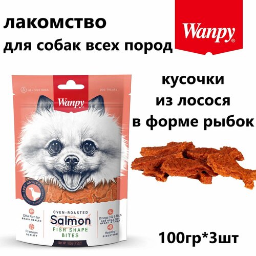 Лакомство Wanpy кусочки из лосося в форме рыбок, для собак всех пород 100 гр (3 штуки)