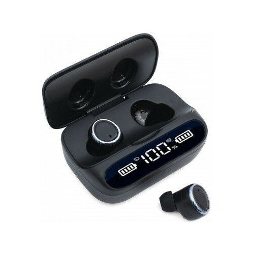 BandRate Smart BRSTWSM28BB 260000₽