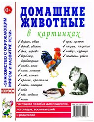 Домашние животные в картинках. Наглядное пособие для педагогов, логопедов, воспитателей и родителей (Гном)