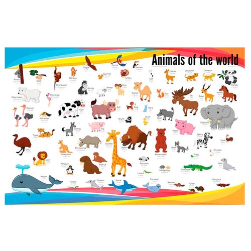 Плакат Квинг Животные мира I — плакат по английскому языку, с переводом и транскрипцией 457×610 мм ≈ (А2)