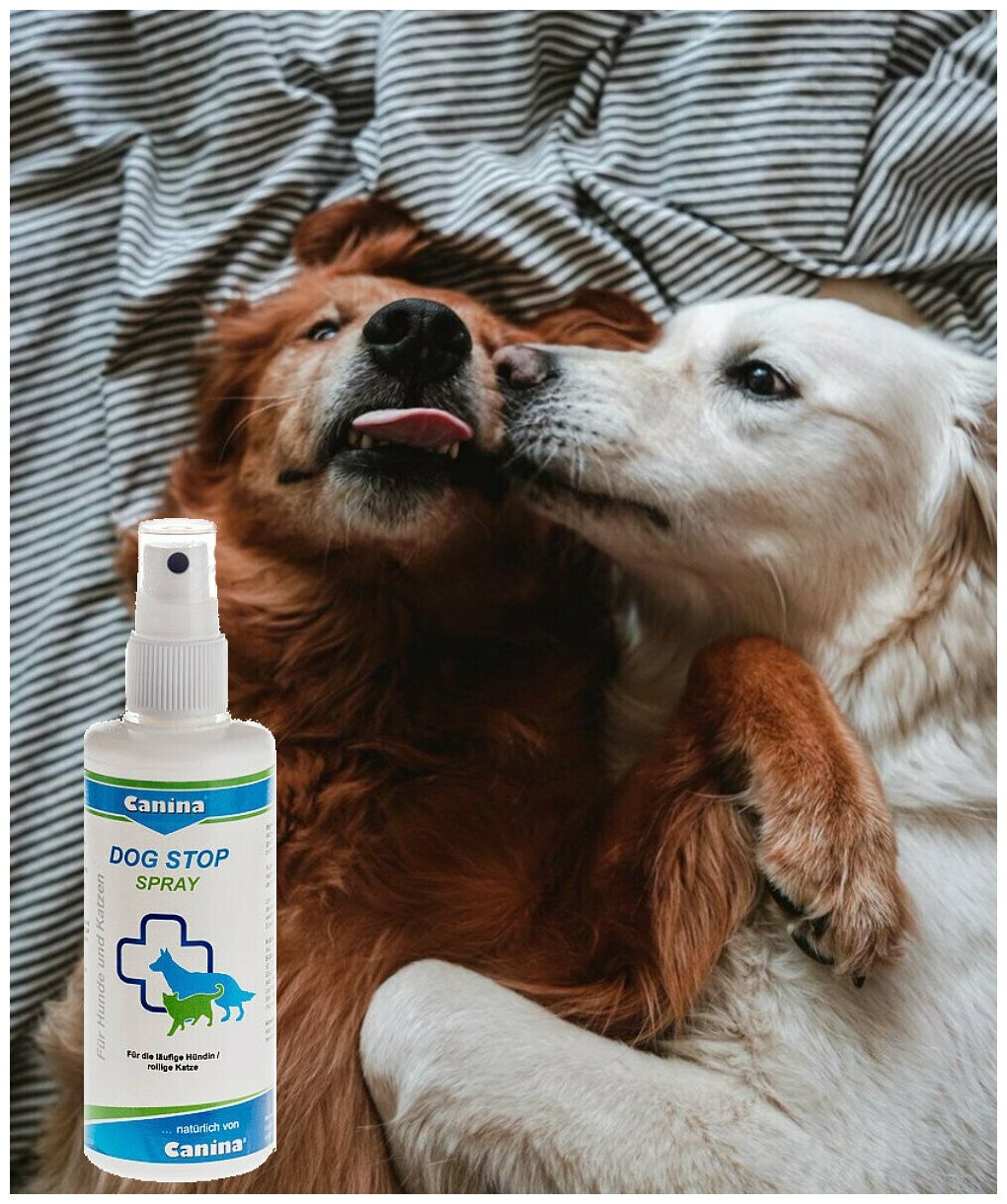 Dog-Stop Spray спрей для отпугивания кобелей(100мл) - фотография № 3