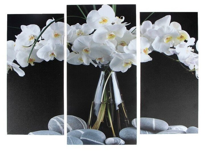 Модульная картина "Орхидеи в вазе" (2-25х52; 1-30х60) 60х80 см