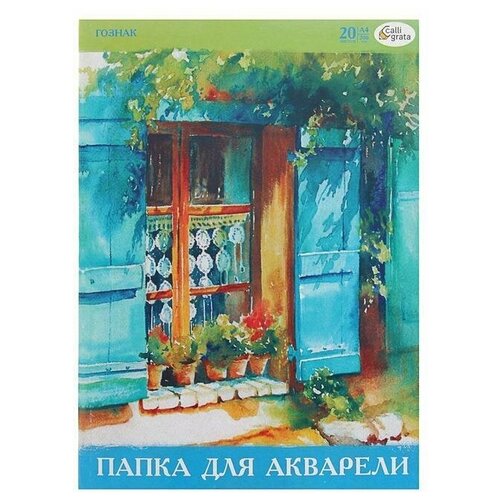 Папка для акварели А4, 20 листов, бумага спбф гознак 200 г/м2 (1 шт.)