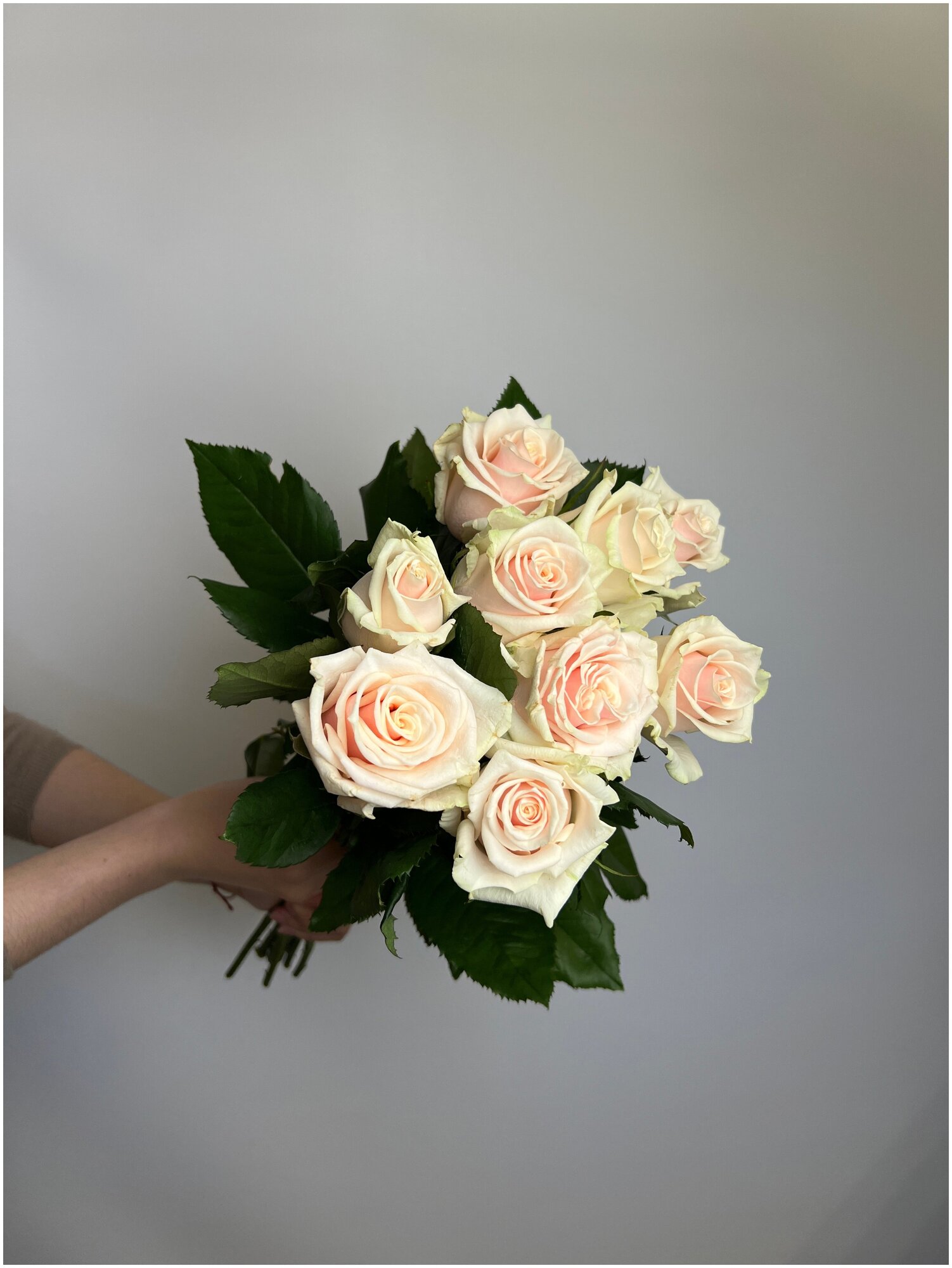 Букет из семи кремовых роз "Таллея" - 9 цветов, 50см