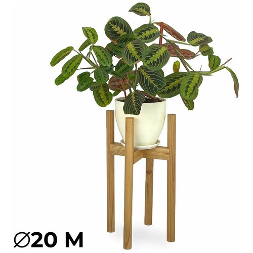 Подставка для цветов, растений и кашпо Один от Flora Urban диаметр: 20 см, высота: 45 см, размер: M, цвет: Дуб натуральный