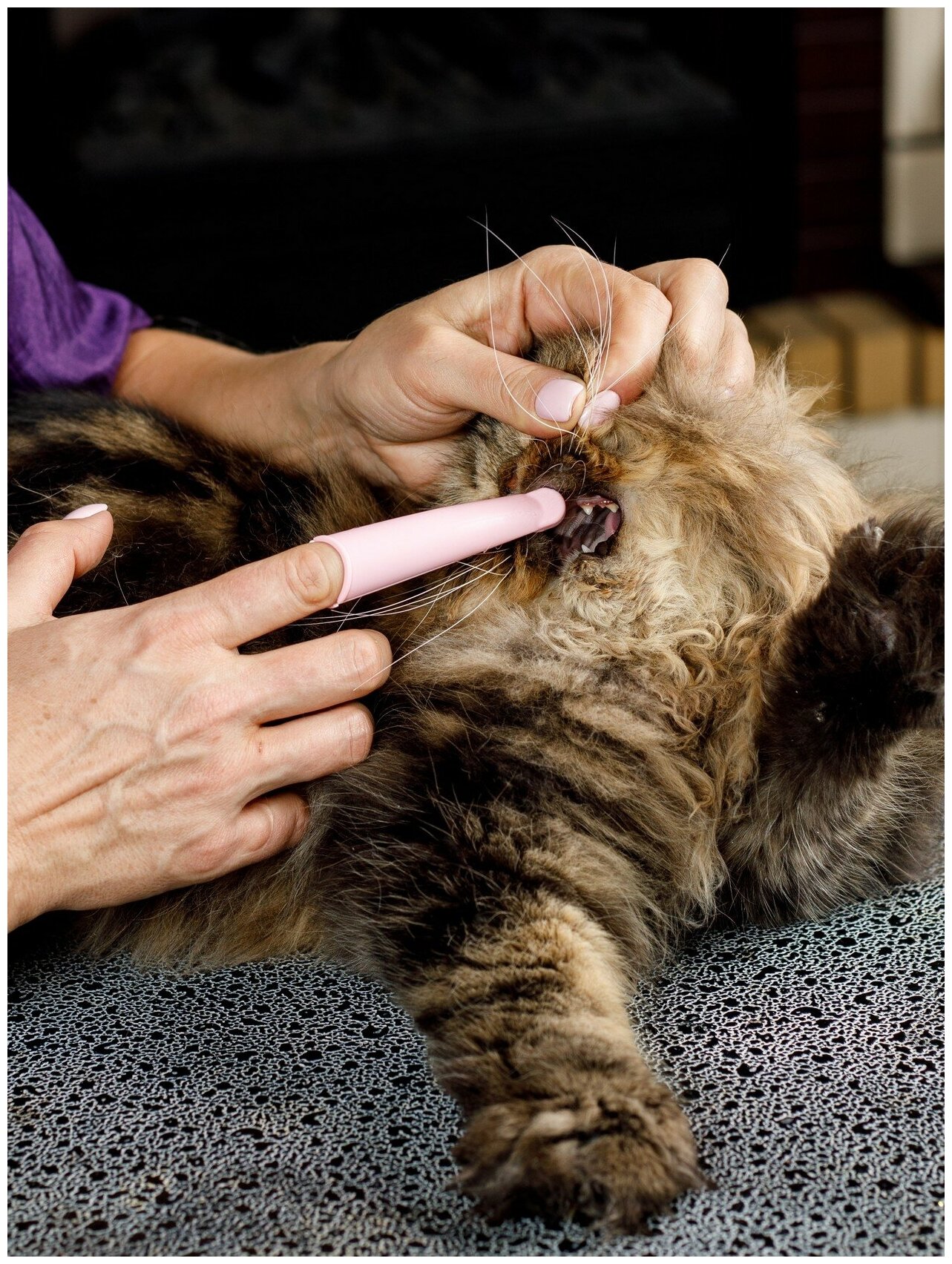 Japan Premium Pet Зубная щетка анатомическая силиконовая для мелких собак и кошек - фотография № 17