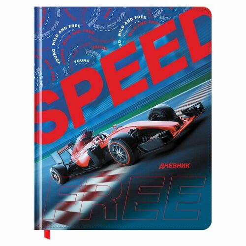 Дневник 1-11 класс 48л. (твердый) BG 