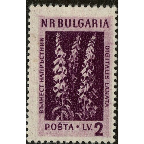(1953-040) Марка Болгария Наперстянка пурпурная Лекарственные растения Болгарии (1) I Θ